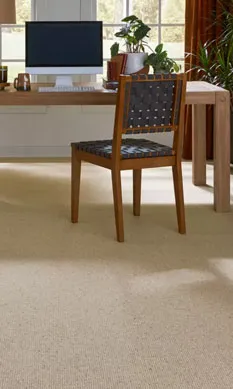 carpet-img-theme-k